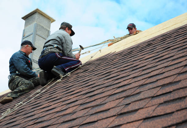 Best Flat Roof Repair Services  in Grosse Pointe Farms, MI