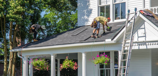 Best Roof Maintenance Services  in Grosse Pointe Farms, MI